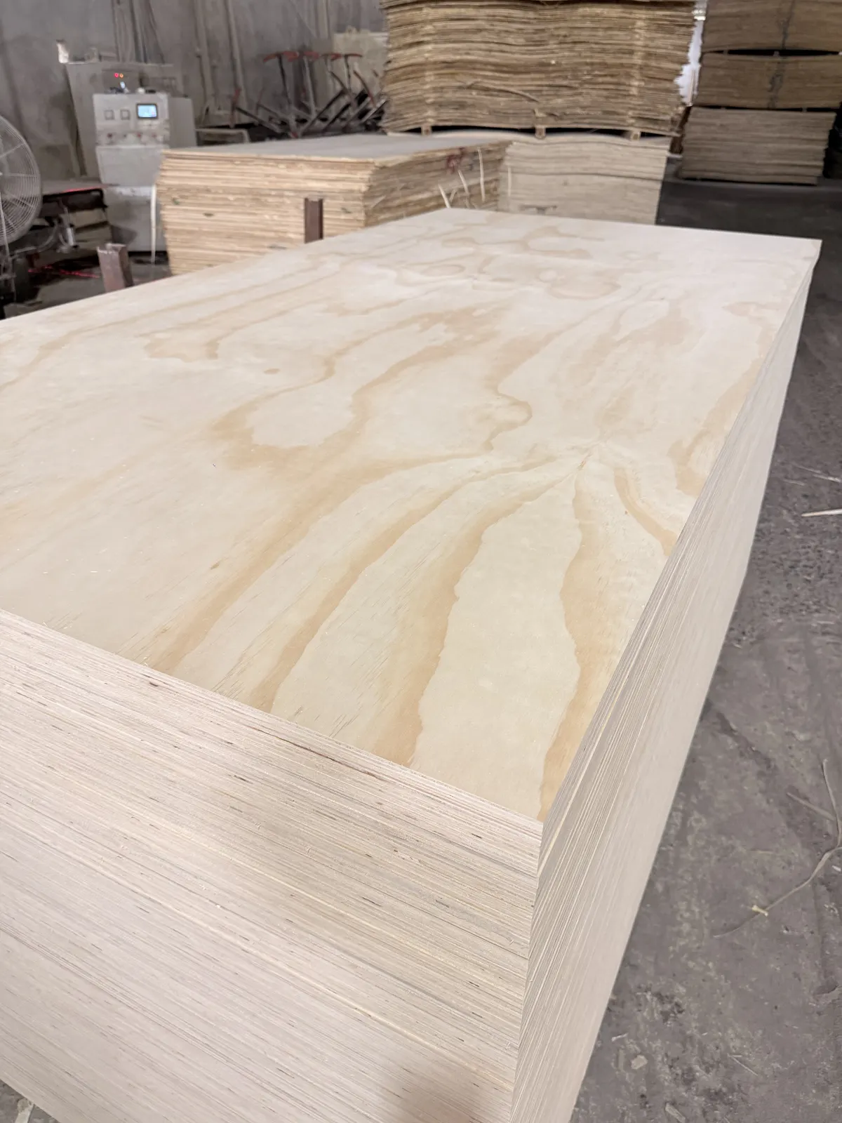 Real Pine face plywood